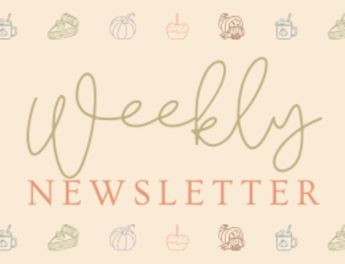 Weekly Newsletter – November 13, 2025